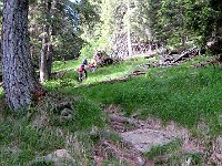 Ora un tratto bello ripido  IMG 2477