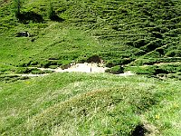 Sentiero per Pian Alto  IMG 2557