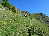 Sentiero per Pian Alto  IMG 2561