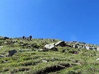 Salita al Camoghè  IMG 2578