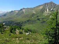 Val Canaria, la cima a destra è il Pizzo Canariscio 2526mt  IMG 2620