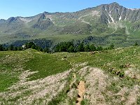 Sentiero per Ce  IMG 2628