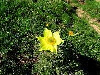 E su questa foto vi salutiamo  IMG 3358