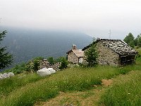 Baite a Zecca  IMG 2637