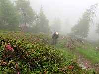 Su un ripido costone  IMG 2655