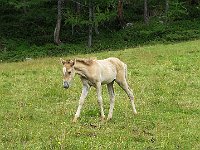 E su questa foto vi salutiamo, alla prossima  IMG 3060