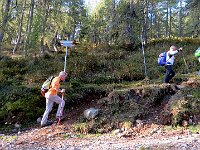 A volte si incrocia la sterrata, ma subito si taglia per la via più ripida  IMG 3453