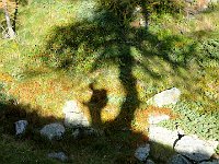 In pochi minuti si ritorna a Campelli, alla prossima !  IMG 3465