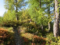 Sentiero in cresta  IMG 3466