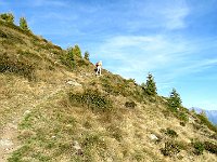 Salita sulla dorsale  IMG 3477