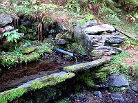 Quindi scendiamo verso Campelli, con sopresa troviamo l' UNICA fonte d'acqua di oggi  IMG 3520