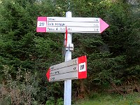 Scendendo troviamo una sterrata per Campelli  IMG 3521