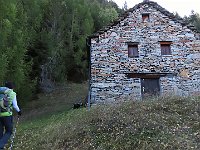 Negressima  IMG 3699