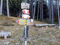 Proseguendo lungo la Via del Sole  20231124 085235