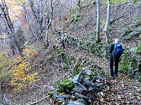 E scendiamo verso il torrente in Val Fabiolo  IMG 3867