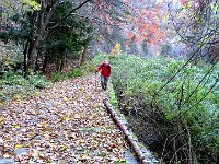 Un largo selciato  IMG 3871