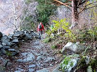 Sentiero verso Campo  IMG 3882