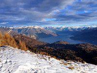 Usciti da bosco  20231206 083512