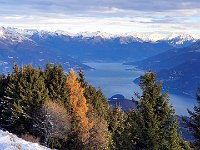 In basso la punta di Bellagio  20231206 091927