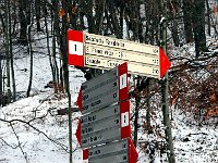 Parcheggio alto Parco San Primo, seguiamo per Alpe Magreglio  IMG 4042