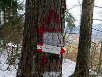 Percorriamo il sentiero per Alpe Magreglio fino a questo bivio, dove scendiamo per il rifugio Anna Maria  IMG 4048
