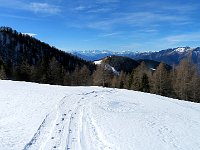 Noi seguiamo la pista delle motoslitte  IMG 4470