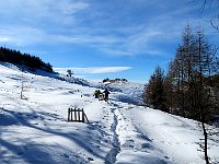 Verso l'Alpe di Gesero  IMG 4473