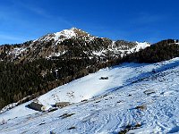 Alpe di Gesero  IMG 4477