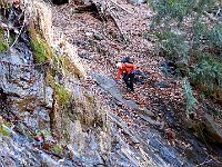 In dettaglio  IMG 4597