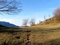 Si raggiunge un bel prato  IMG 4700
