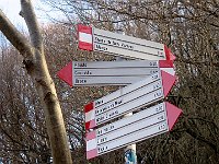 Risaliti di poco seguiamo per Sasso San Martino e Trincee  IMG 4738