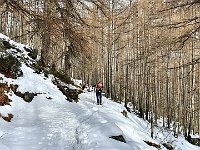 Sentiero verso Gualdo  20240313 091101