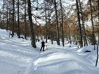 Sentiero verso Gualdo  20240313 101125