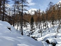 Che ambiente !  20240313 101522