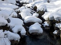 Il torrente della Valle del Drogo  20240313 101602