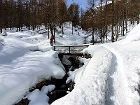 Altro ponticello  20240313 103835