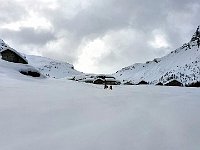 Saliamo in direzione della chiesetta  20240313 110039