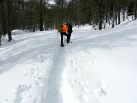 Si prosegue  DSCN1846