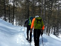 Si prosegue  DSCN1849