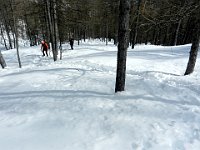 Strappo in salita  DSCN1850