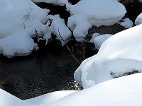 Il torrente  IMG 4893