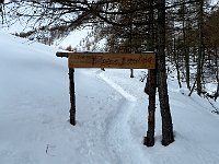 Benvenuti all'Alpe Lendine  IMG 4904