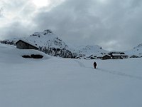 Ultimo strappo  IMG 4906