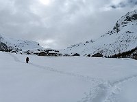 Nella neve intonsa  IMG 4907