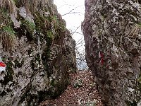 Dopo il secondo bivio per la Forcola si trova il passaggio chiave  1000059078