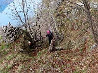 Sentiero per i Pizzoni  1000059079