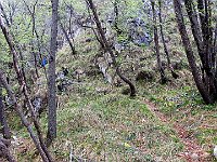 Sentiero  20240407 085850