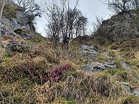 Quasi in cima  20240407 100233