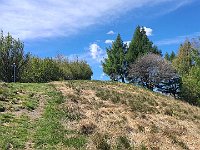 Dove si trova un incrocio di sentieri  20240424 112251