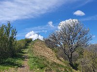 E da qui in breve alla grande croce  20240424 112433